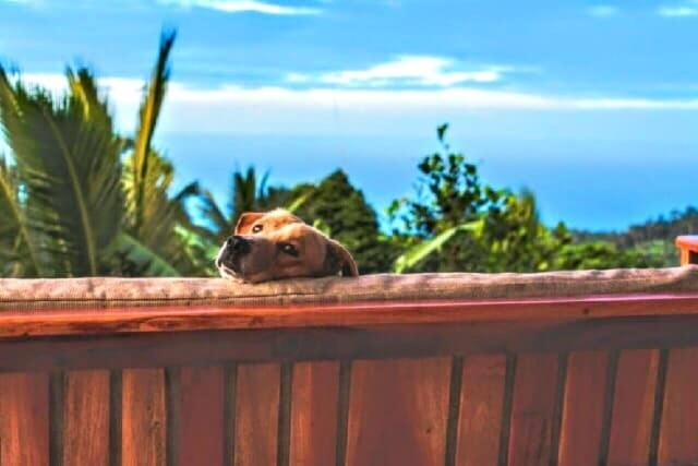 Camiguin Volcano Houses-Panoramic House Mambajao 外观 照片